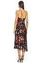 view 3 of 3 Gaia Dress in Black & Red Floral