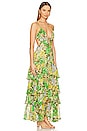 view 2 of 3 Aneira Dress in Green Multi