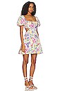 view 2 of 3 Clarita Dress in Pink & Yellow Multi Floral