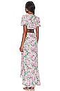 view 3 of 3 Dayanara Dress in Green & Pink Floral