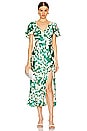view 1 of 3 Florecita Dress in Green Cream Burnout