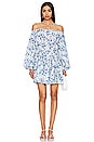 view 1 of 3 Sabine Dress in Blue Floral