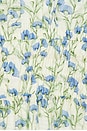 view 4 of 4 Florentina Dress in Cream Blue Floral