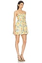 view 2 of 3 Bubble Skirt Mini Dress in Orange Multi Floral