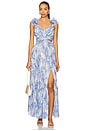 view 1 of 4 Fritillaria Dress in Blue Floral
