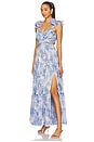 view 3 of 4 Fritillaria Dress in Blue Floral