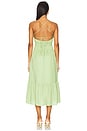 view 3 of 3 Eleni Dress in Spring Green