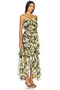 view 2 of 3 Elena Dress in Brown Yellow Floral