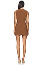 view 3 of 4 Dilone Dress in Brown