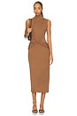 view 1 of 3 Riana Dress in Chestnut