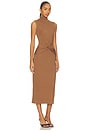 view 2 of 3 Riana Dress in Chestnut