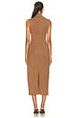 view 3 of 3 Riana Dress in Chestnut