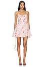 view 1 of 4 VESTIDO BIRDIE in Pink Floral