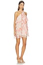 view 2 of 3 VESTIDO OFRA in Blush Floral