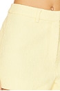 view 6 of 6 Eaton Shorts in Yellow