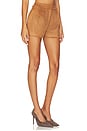 view 2 of 6 Jude Shorts in Camel