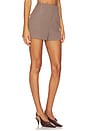 view 2 of 6 Gisselle Shorts in Brown Wine Plaid