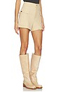 view 2 of 6 Beron Shorts in Tan