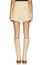 view 4 of 6 Beron Shorts in Tan