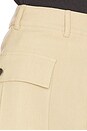 view 6 of 6 Beron Shorts in Tan