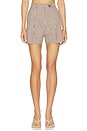 view 1 of 6 Preston Shorts in Brown Checker