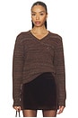 view 1 of 5 Dasia Sweater in Brown