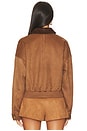 view 4 of 5 Sorine Jacket in Camel