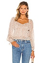 view 1 of 4 Concord Top in Taupe Blue Ditsy