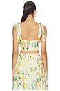 view 3 of 4 Kaleigh Top in Lemon Paradise