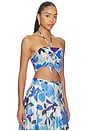 view 2 of 4 Kehlani Top in Blue Floral