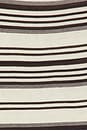 view 6 of 6 Sofia Sweater Top in Cream Brown Stripe