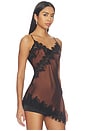 view 2 of 6 Laura Top in Brown