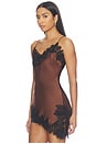 view 4 of 6 Laura Top in Brown