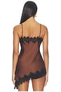 view 5 of 6 Laura Top in Brown