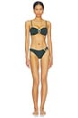 view 4 of 4 Cabo Verde Bikini Top in Ivy Green