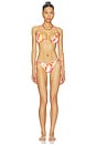 view 4 of 4 BRAGUITA BIKINI GILI in Viva Soleil Print
