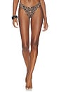 view 1 of 4 BRAGUITA BIKINI FIJI in Leopard Print