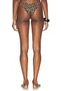 view 3 of 4 BRAGUITA BIKINI FIJI in Leopard Print