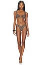 view 4 of 4 BRAGUITA BIKINI FIJI in Leopard Print