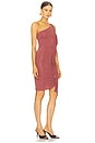 view 2 of 3 Spriza Dress in Wine
