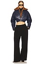 view 4 of 4 Cropped Aviator Jacket in Prusse