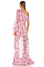 view 3 of 4 VESTIDO WHIRLWIND in Peony Print