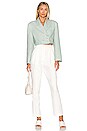view 4 of 4 Azami Blazer in Basil