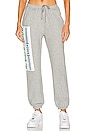 view 1 of 4 PANTALON THE SPORT CLUB in Grey