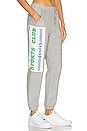 view 2 of 4 PANTALON THE SPORT CLUB in Grey