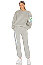 view 5 of 4 PANTALON THE SPORT CLUB in Grey
