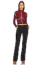 view 4 of 4 x Lara Worthington Mesh Top in Maroon
