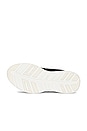 view 6 of 6 SNEAKERS in Anthracite & Ivory