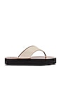 view 1 of 5 SANDALES MELITTO in Ice White