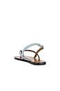 view 3 of 5 Teolo Sandals in Temporale
